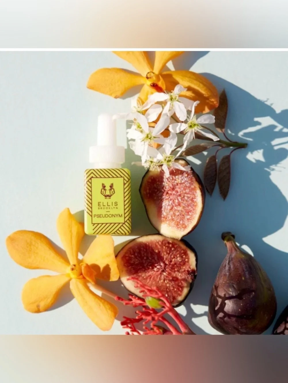 Pura Ellis Brooklyn Pseudonym Fragrance Oil & Apotheke Sea Salt Grapefruit.